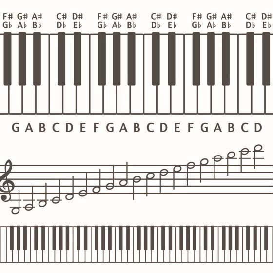 Casio Chords Chart